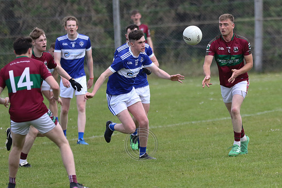 NA PIARSAIGH V GAEIL FHÁNADA