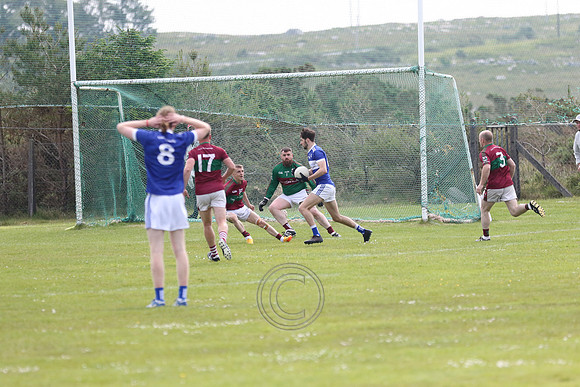 NA PIARSAIGH V GAEIL FHÁNADA