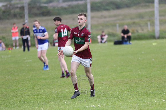 NA PIARSAIGH V GAEIL FHÁNADA
