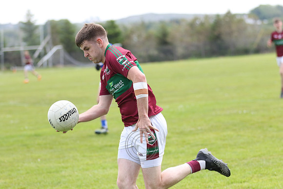 NA PIARSAIGH V GAEIL FHÁNADA