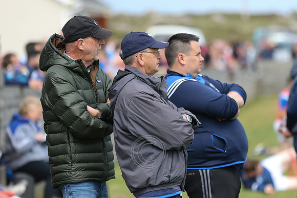 NA PIARSAIGH V GAEIL FHÁNADA