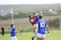 NA PIARSAIGH V GAEIL FHÁNADA