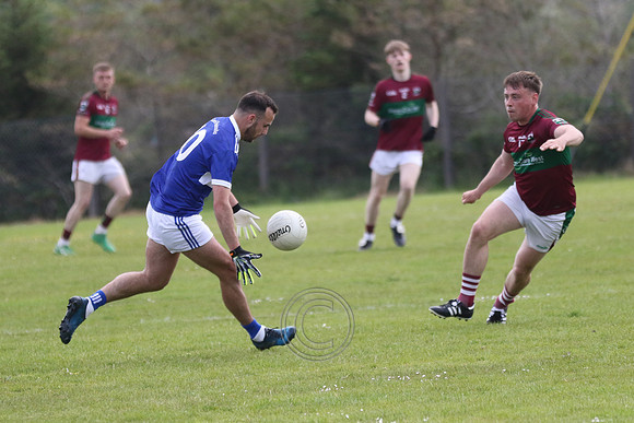 NA PIARSAIGH V GAEIL FHÁNADA