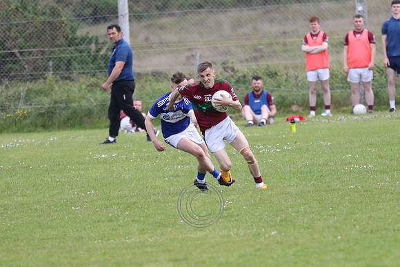 NA PIARSAIGH V GAEIL FHÁNADA