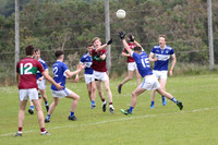 NA PIARSAIGH V GAEIL FHÁNADA