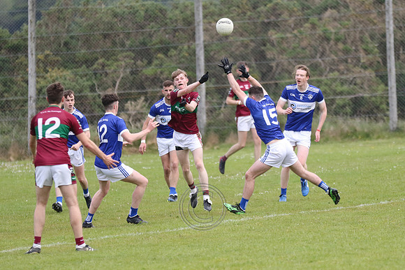 NA PIARSAIGH V GAEIL FHÁNADA