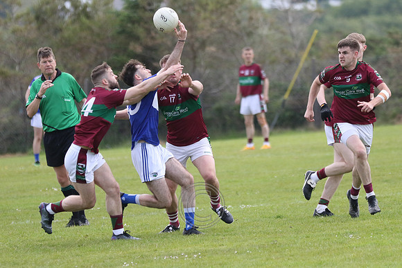 NA PIARSAIGH V GAEIL FHÁNADA