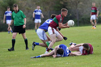 NA PIARSAIGH V GAEIL FHÁNADA