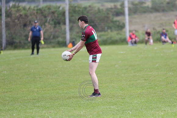 NA PIARSAIGH V GAEIL FHÁNADA