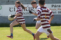 FÉILE PEILE GAEL LINN 2026-0112