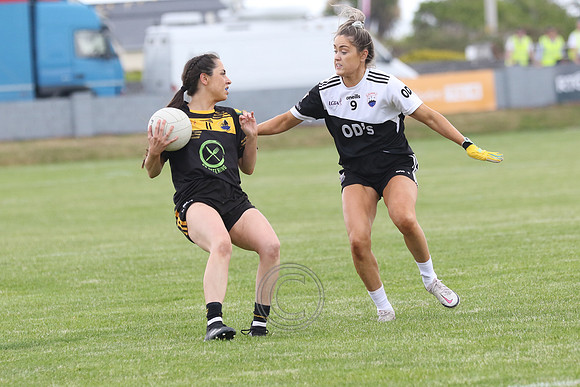 COILL CHOMÁIN V NAOMH ANN LEITIR MÓIR-13