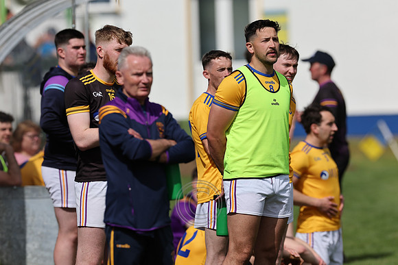 AN GHAELTACHT V NAOMH ABÁN-14