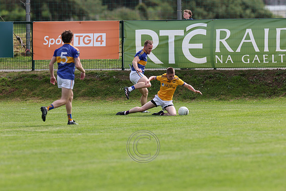 AN GHAELTACHT V NAOMH ABÁN-27