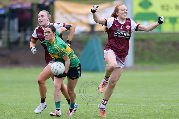 TEARMANN V BC NA GAILIMHE-3