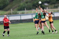 CARNA CAISEAL V CLANN NA NGAEL-1-2