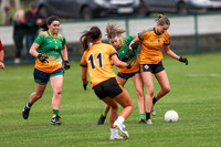 CARNA CAISEAL V CLANN NA NGAEL-2-2