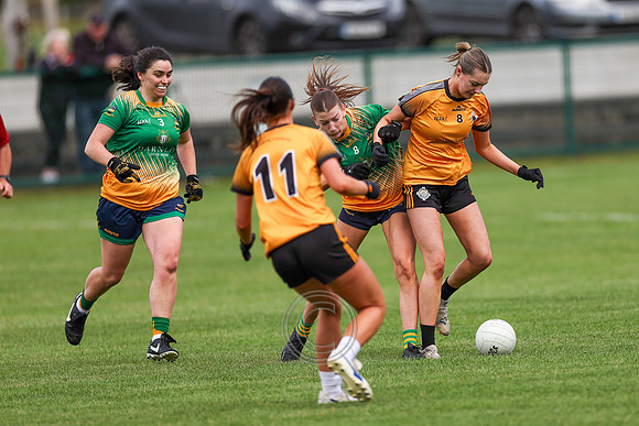 CARNA CAISEAL V CLANN NA NGAEL-2-2