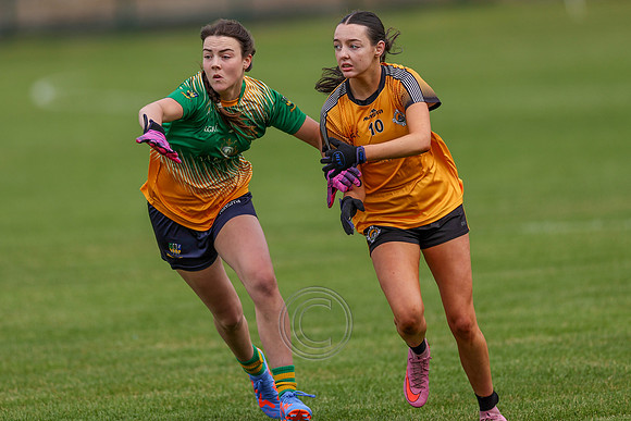 CARNA CAISEAL V CLANN NA NGAEL-4-2