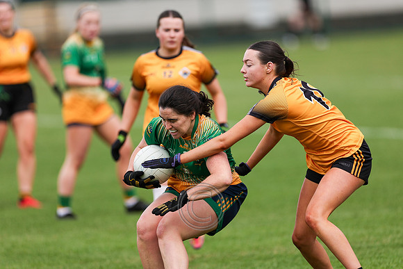 CARNA CAISEAL V CLANN NA NGAEL-5-2