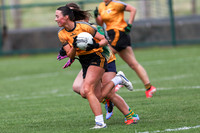 CARNA CAISEAL V CLANN NA NGAEL-7-2