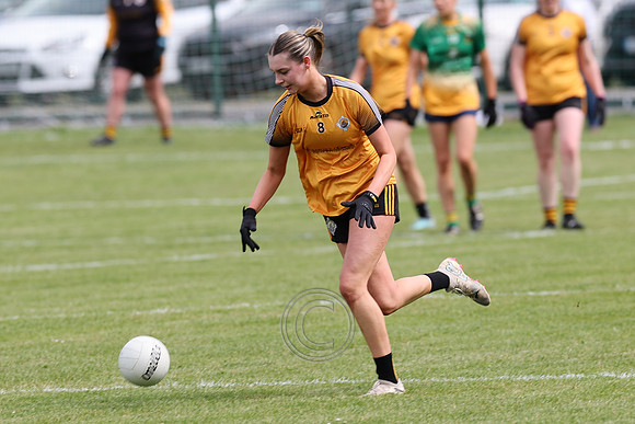 CARNA CAISEAL V CLANN NA NGAEL-27-2