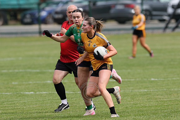 CARNA CAISEAL V CLANN NA NGAEL-28-2