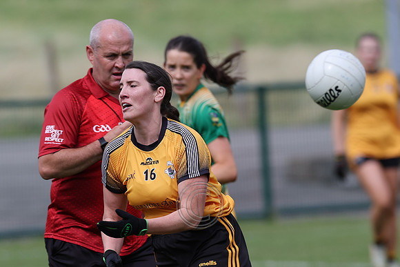 CARNA CAISEAL V CLANN NA NGAEL-37-2