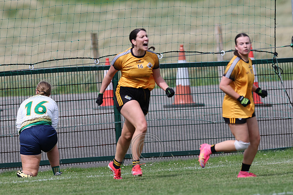 CARNA CAISEAL V CLANN NA NGAEL-41-2