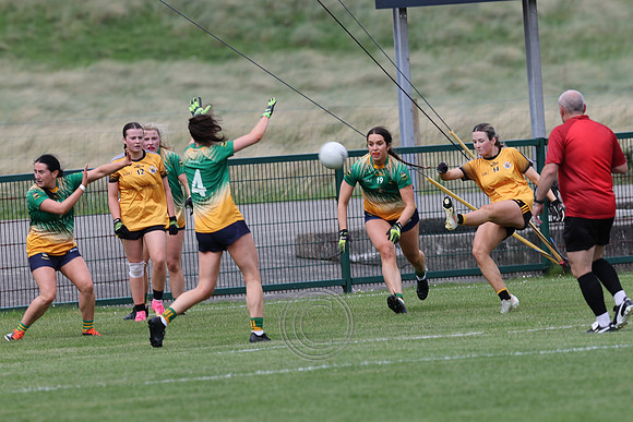 CARNA CAISEAL V CLANN NA NGAEL-12