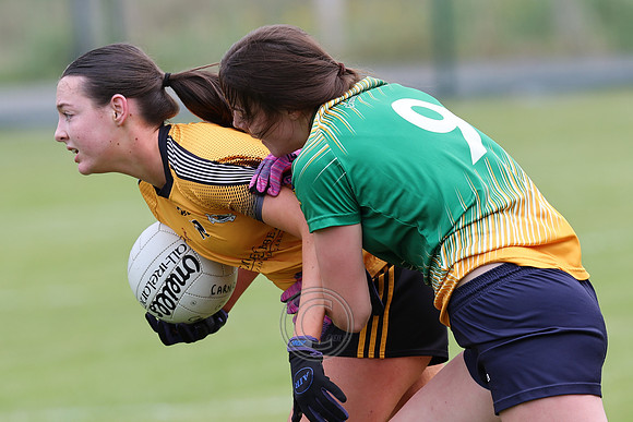 CARNA CAISEAL V CLANN NA NGAEL-26