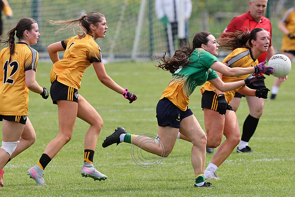 CARNA CAISEAL V CLANN NA NGAEL-56