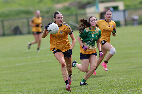 CARNA CAISEAL V CLANN NA NGAEL-59