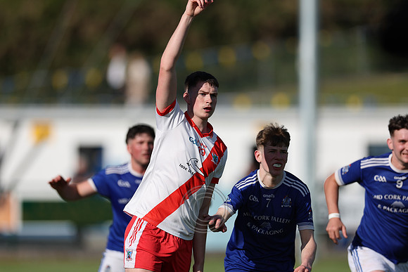 AN GHAELTACHT V NAOMH ABÁN-227