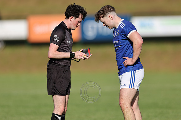 AN GHAELTACHT V NAOMH ABÁN-291