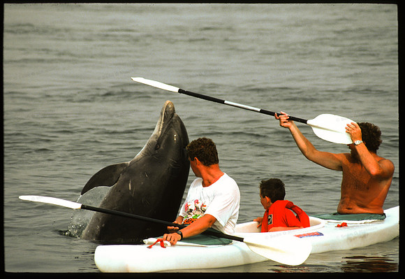 05 Dolphin Canoe Lads