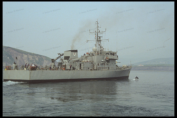 FE25618D9C354655