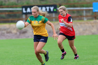 CLANN NA nGAEL V N FIONNBARRA-114