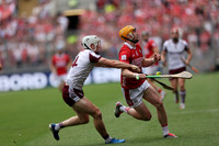 GAILLIMH V CORCAIGH 2026-0072