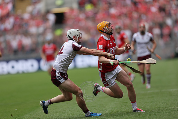 GAILLIMH V CORCAIGH 2026-0072