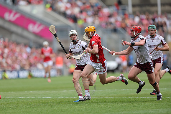 GAILLIMH V CORCAIGH 2026-0226