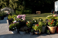 ANNETTE'S GARDEN 2026-1000159