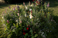 ANNETTE'S GARDEN 2026-1000162