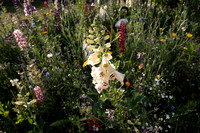 ANNETTE'S GARDEN 2026-1000161