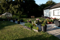 ANNETTE'S GARDEN 2026-1000163