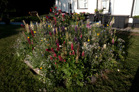 ANNETTE'S GARDEN 2026-1000168