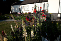 ANNETTE'S GARDEN 2026-1000170