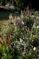 ANNETTE'S GARDEN 2026-1000174