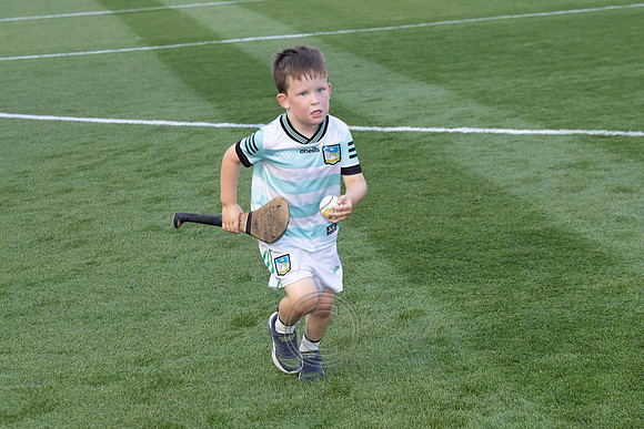 LUIMNEACG V GAILLIMH 2026-24