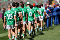 LUIMNEACH V GAILLIMH IMIRT 2026-11