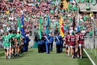 LUIMNEACH V GAILLIMH IMIRT 2026-13